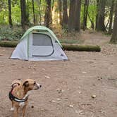 Review photo of Paradise Point State Park Campground by Heather , September 23, 2022