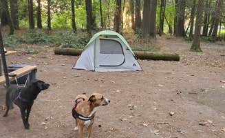 Heather's photo at Paradise Point State Park Campground near Woodland, WA