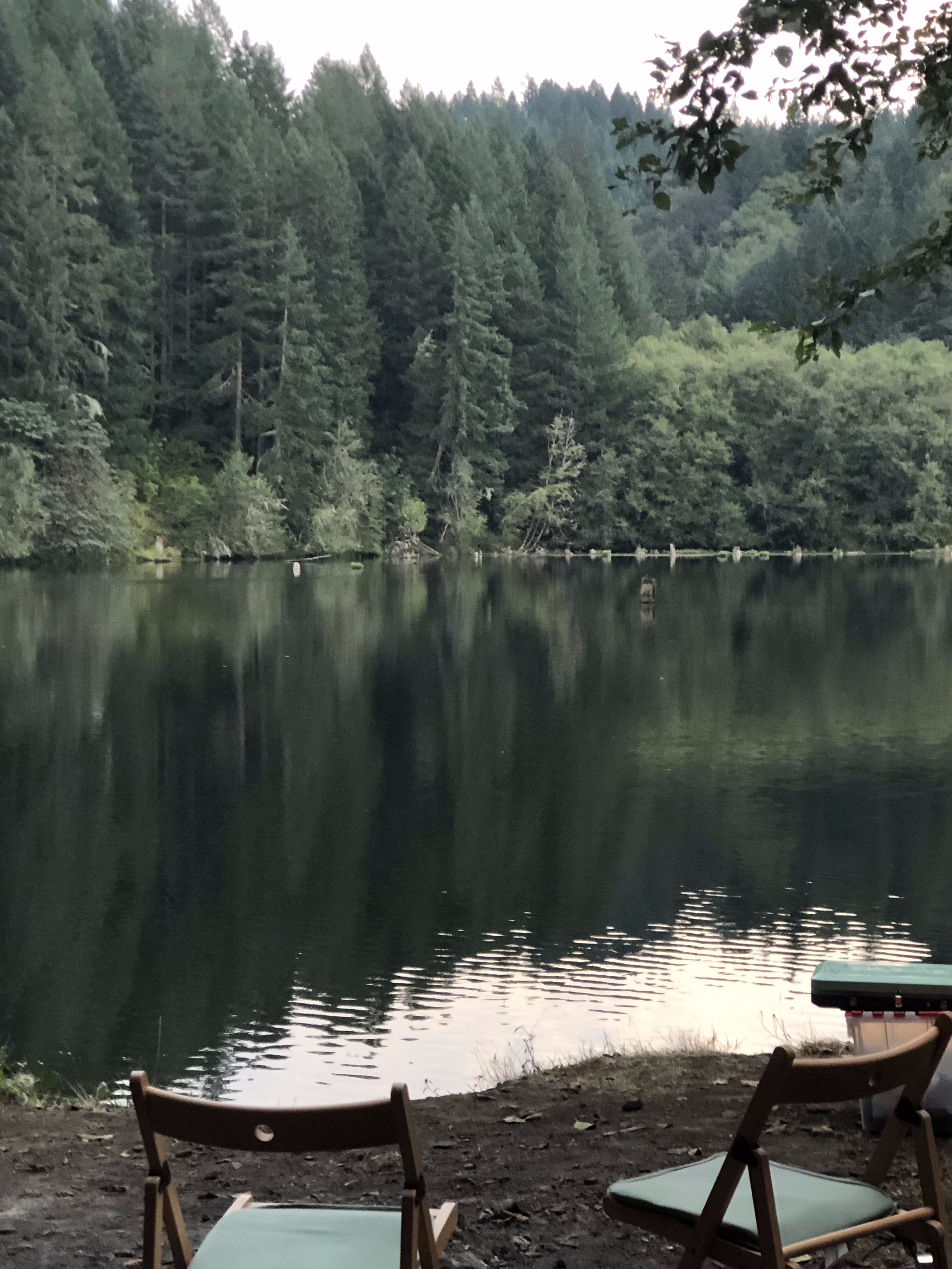 Camper submitted image from Hult Pond - 4