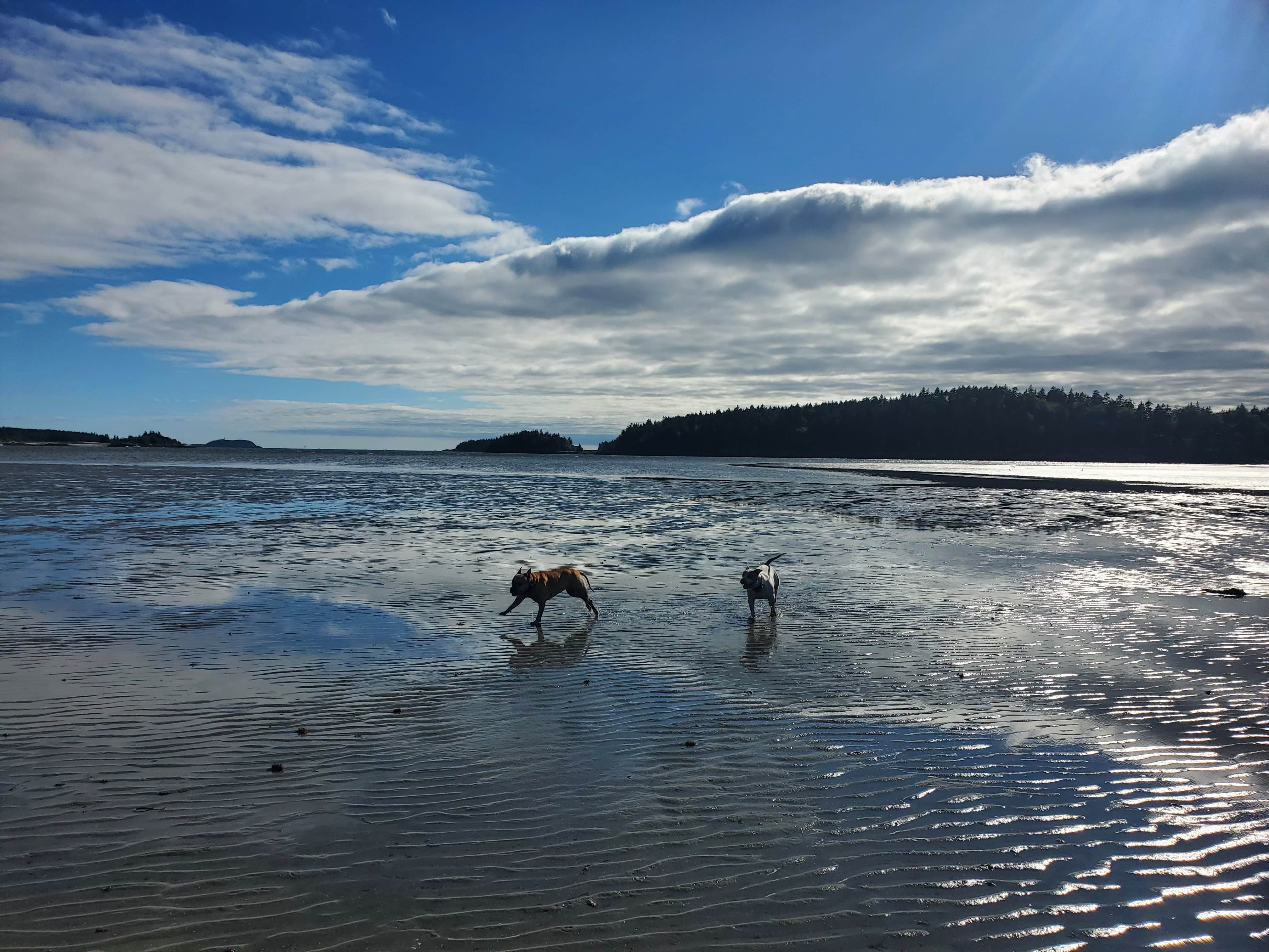 Sagadahoc Bay Campground | Georgetown, ME