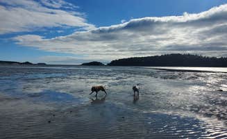 Tom Y.'s photo of camping with pets at Sagadahoc Bay Campground near Brunswick, ME