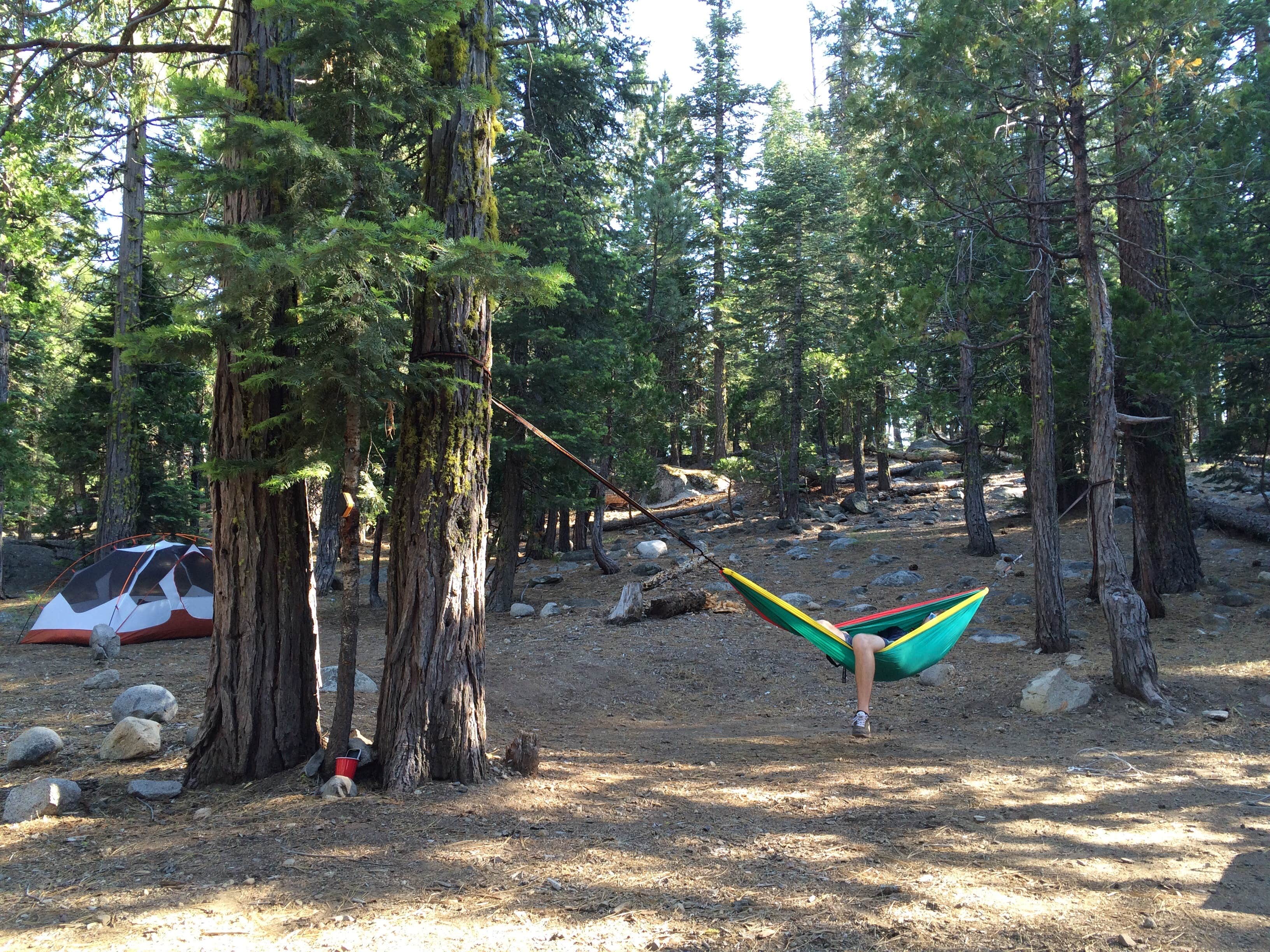 Camper submitted image from Gerle Creek - 3