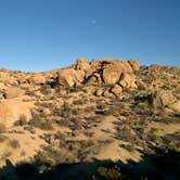 Review photo of Cottonwood Campground — Joshua Tree National Park by Robert A., September 2, 2018