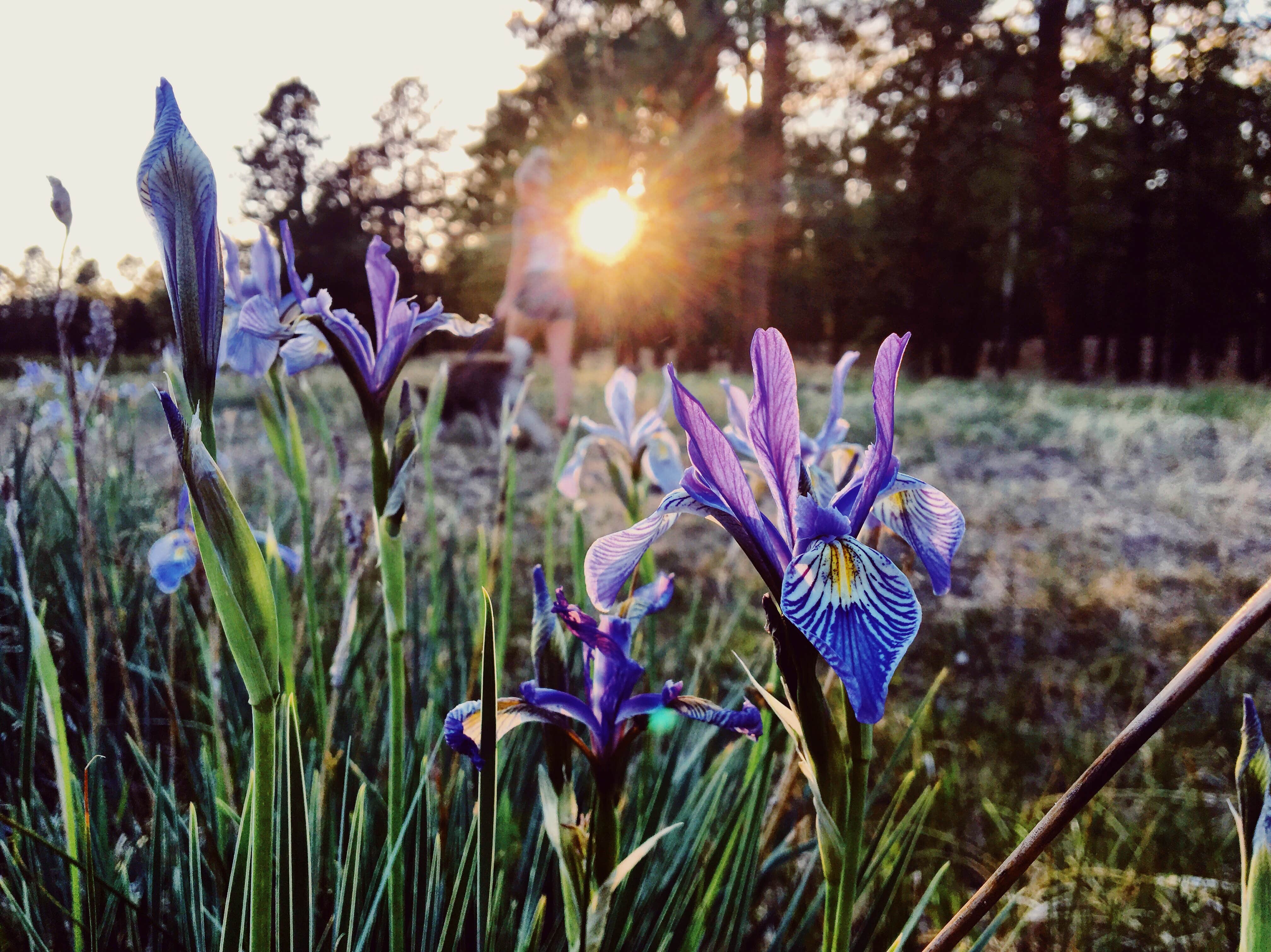 Camper-submitted photo at Benny Creek Campground near Eagar, AZ