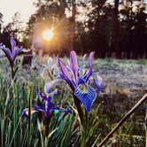 Review photo of Benny Creek Campground by Jacob W., September 3, 2018