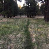 Review photo of Benny Creek Campground by Jacob W., September 3, 2018