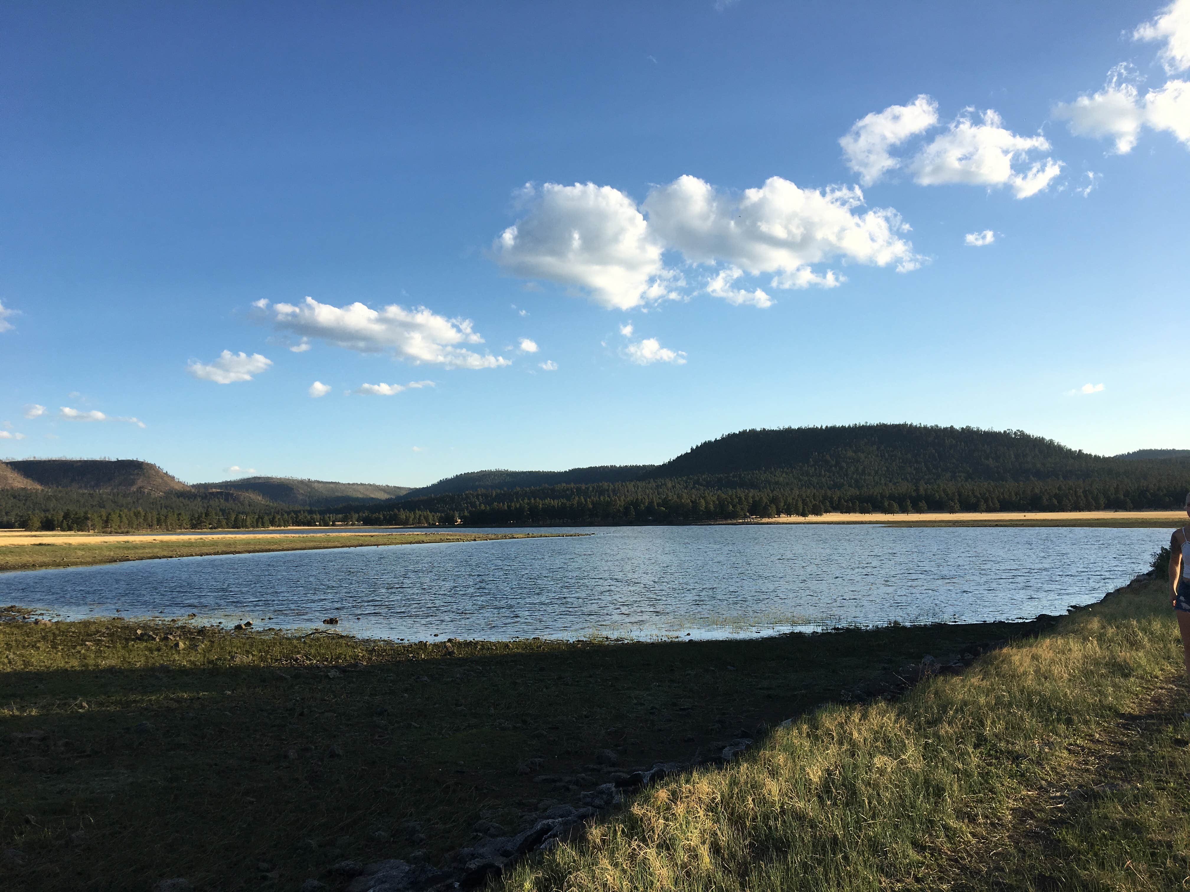 Camper-submitted photo at Benny Creek Campground near Eagar, AZ