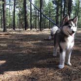 Review photo of Benny Creek Campground by Jacob W., September 3, 2018