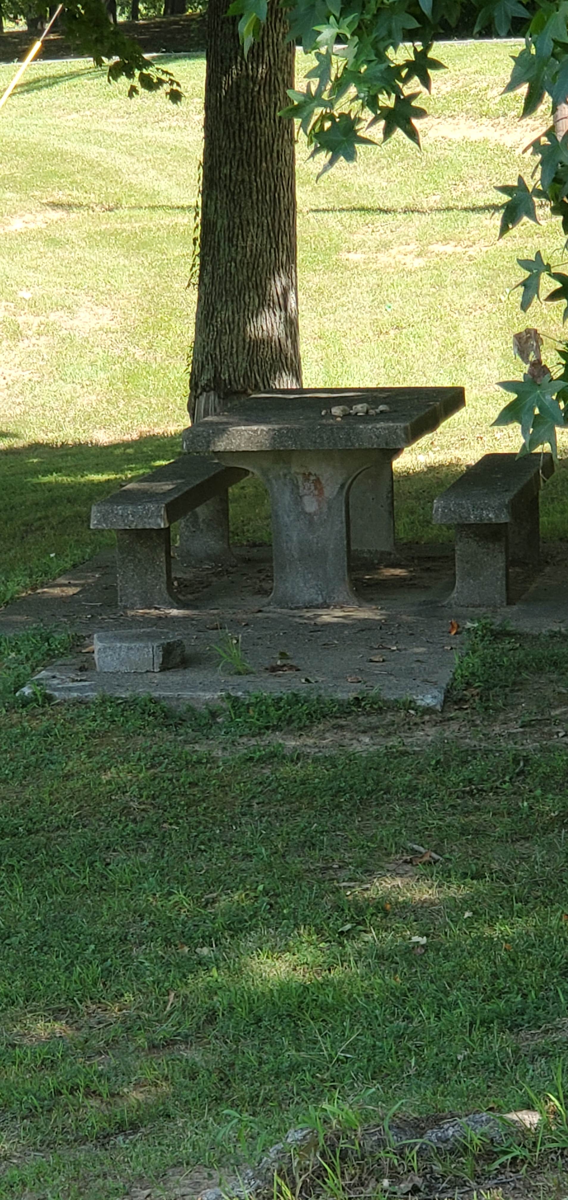 Camper-submitted photo at Eddy Creek Marina Resort near Eddyville, KY