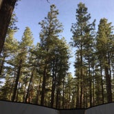Review photo of Benny Creek Campground by Jacob W., September 3, 2018