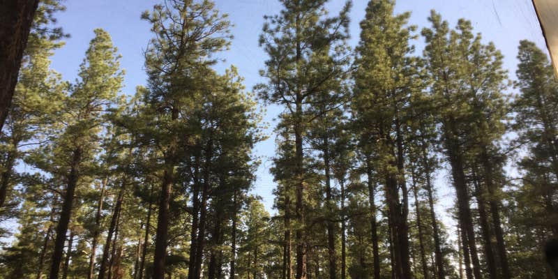 Camper submitted image from Benny Creek Campground