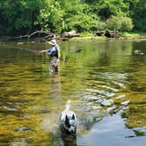 Review photo of West Campground — Norris Dam State Park by Staci R., September 23, 2022