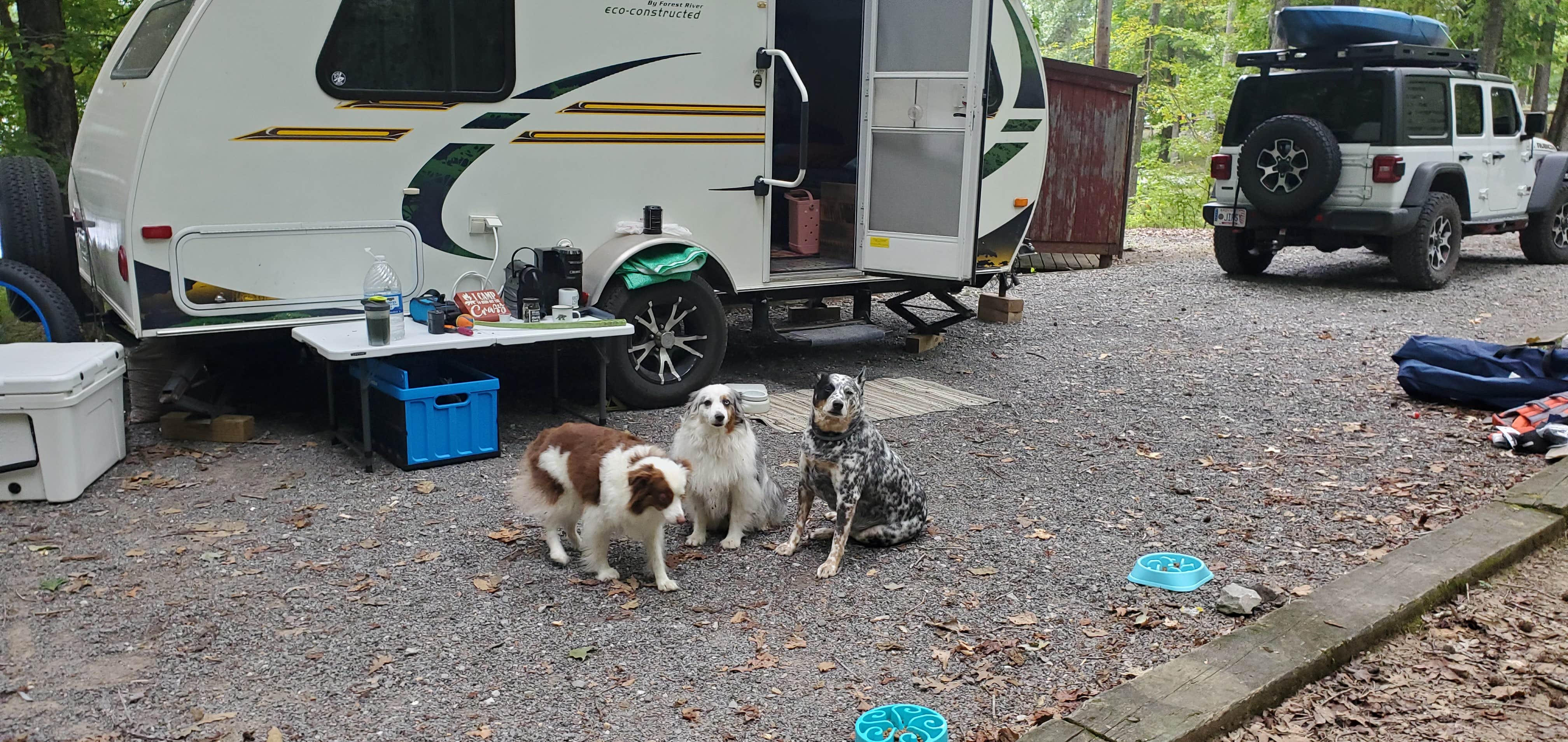 Staci R.'s photo of rv camping at Energy Lake Campground near Cadiz, KY