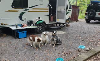 Staci R.'s photo of rv camping at Energy Lake Campground near Smithland, KY
