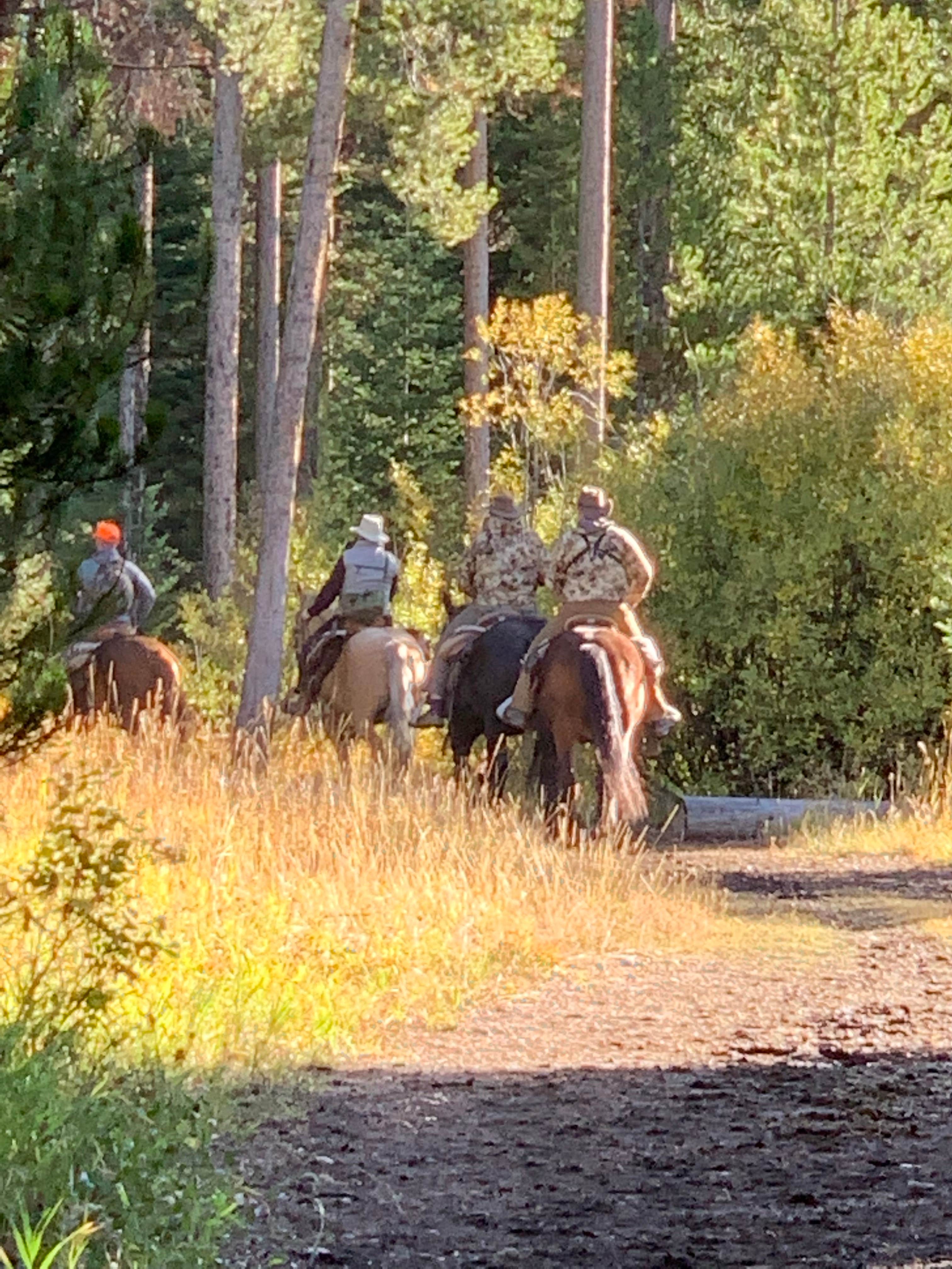 Eric  C.'s photo of camping with a horse at Pacific Creek Campground near Grand Teton National Park
