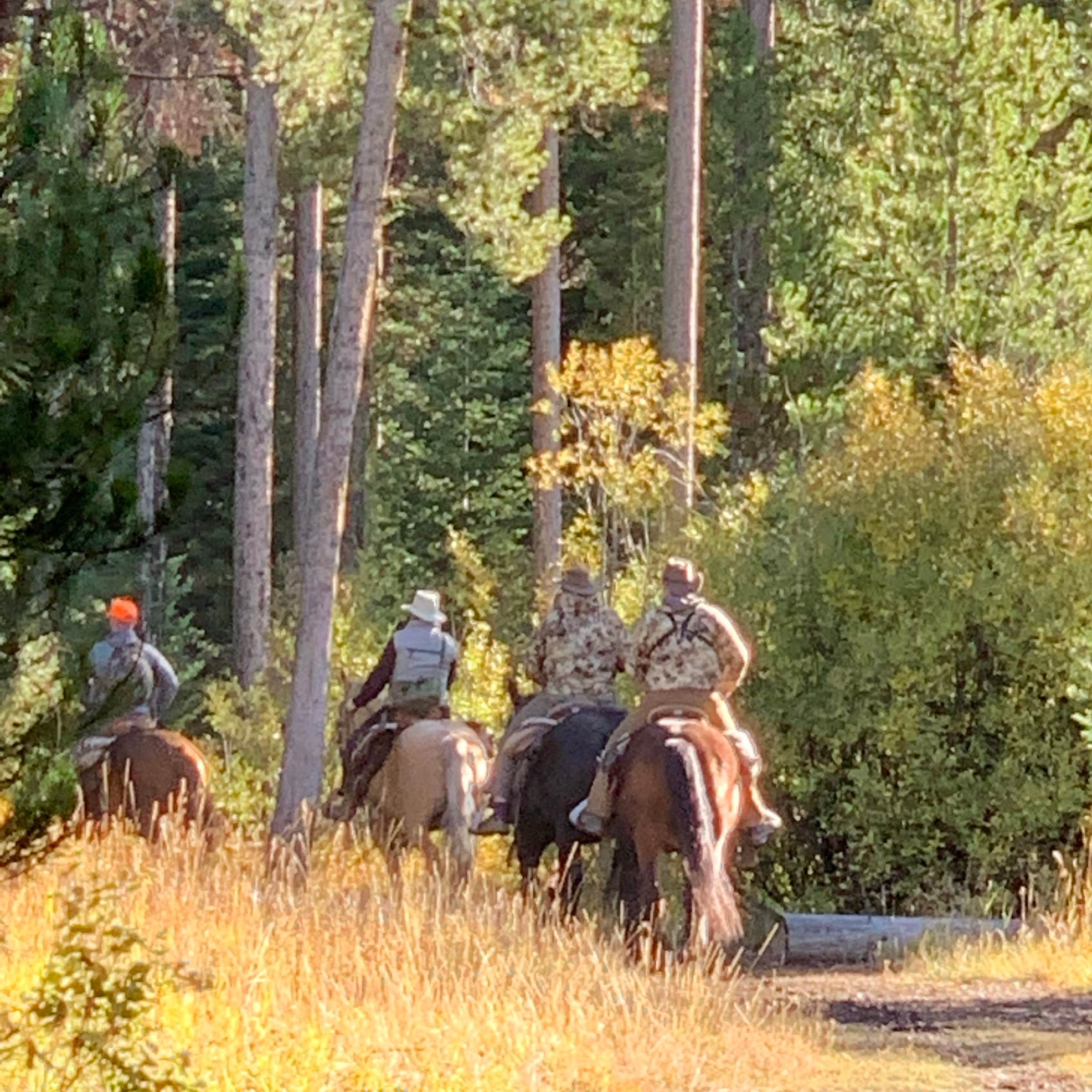 Pacific Creek Campground Moran, WY