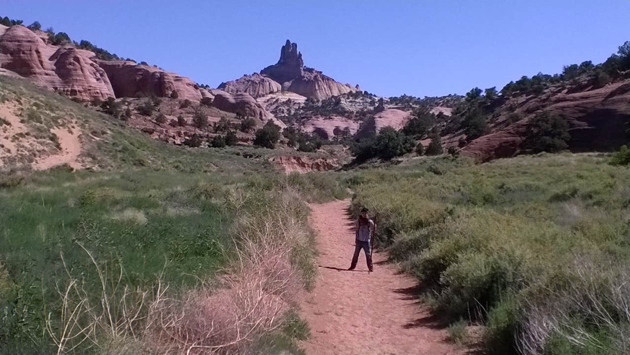 Trail to castle rock 