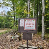 Review photo of Bull Brook Road:  Dispersed Campsite by Zachary S., September 23, 2022