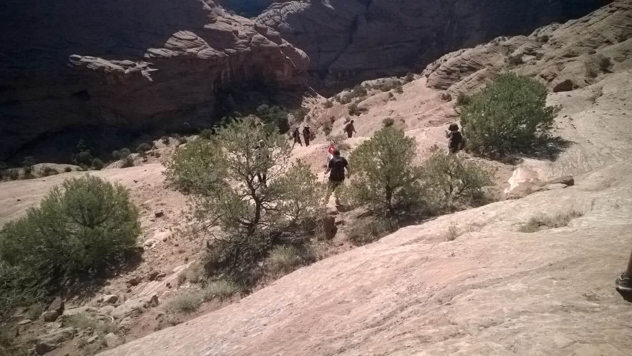 Camper submitted image from Cottonwood Campground - 2
