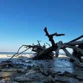 Review photo of Jekyll Island Campground by Jasper S., September 23, 2022