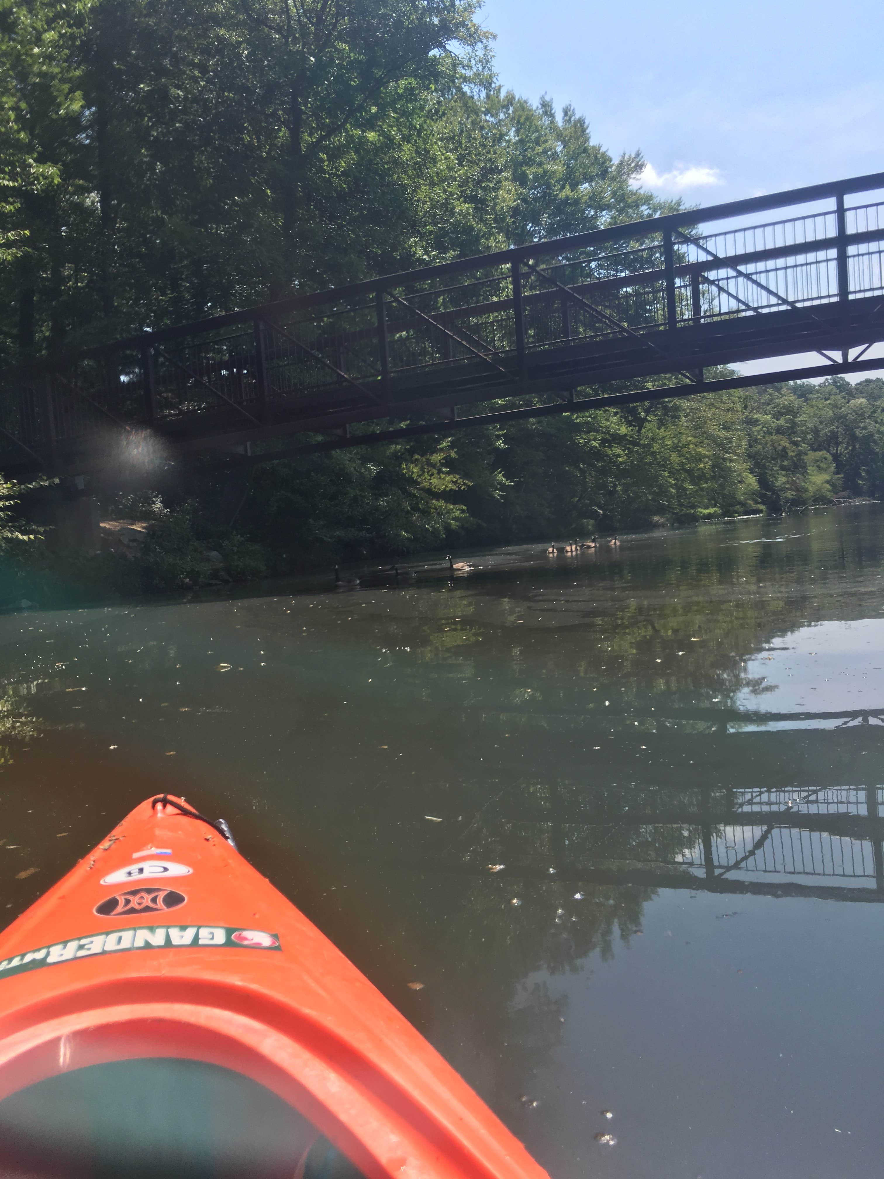 Camper submitted image from Pocahontas State Park Campground - 3