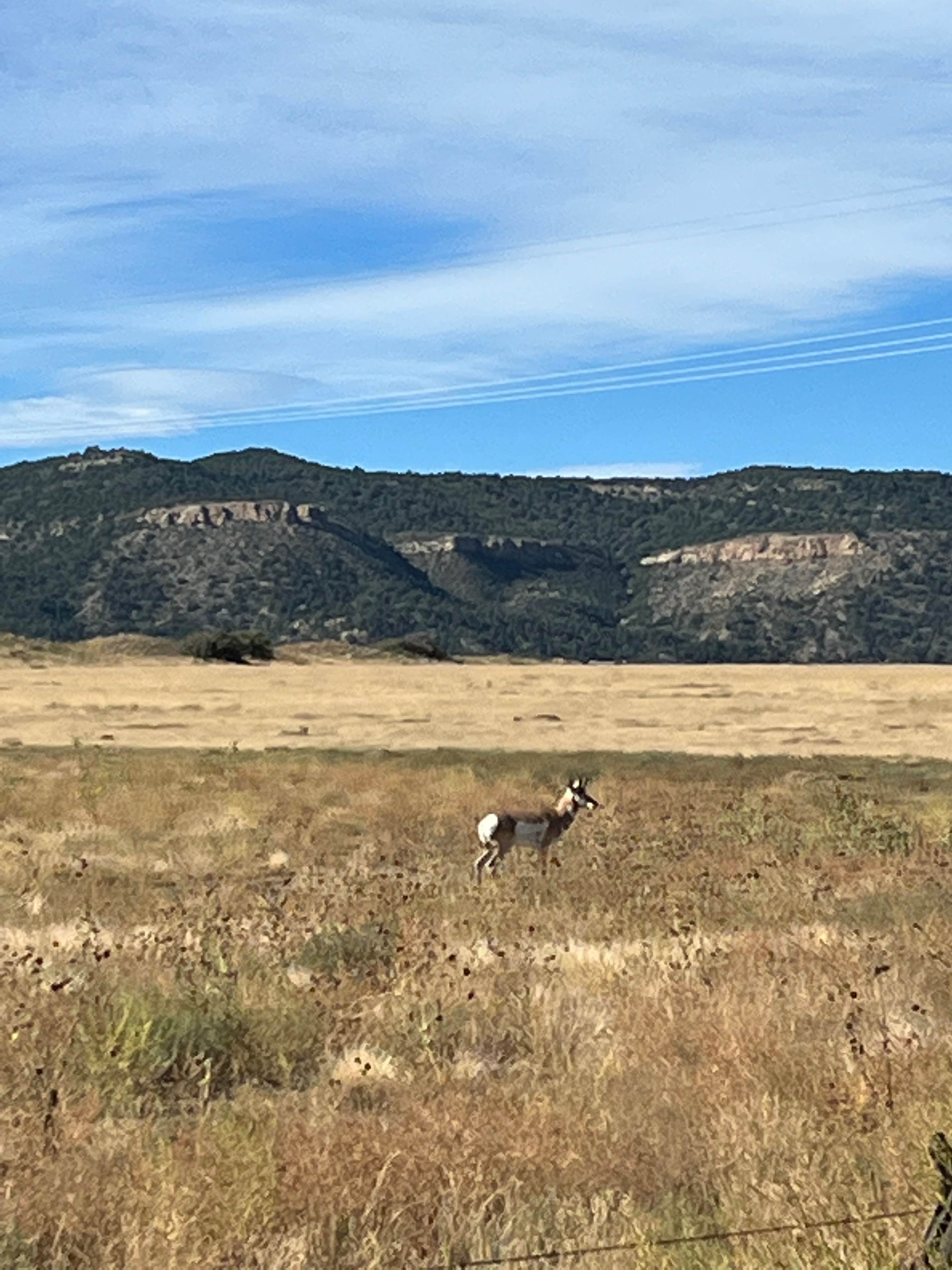 Camper-submitted photo at Gears RV Park and Cafe near Trinidad, CO