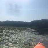 Review photo of Pocahontas State Park Campground by Samantha G., September 3, 2018