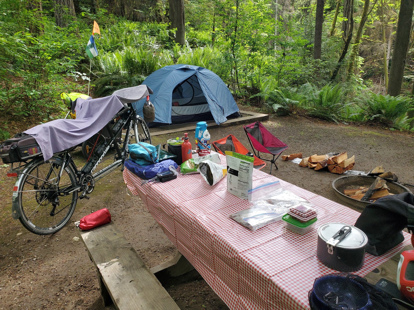 Camper submitted image from Joemma Beach State Park Campground - 1