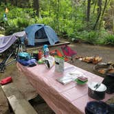 Review photo of Joemma Beach State Park Campground by JP C., September 24, 2022