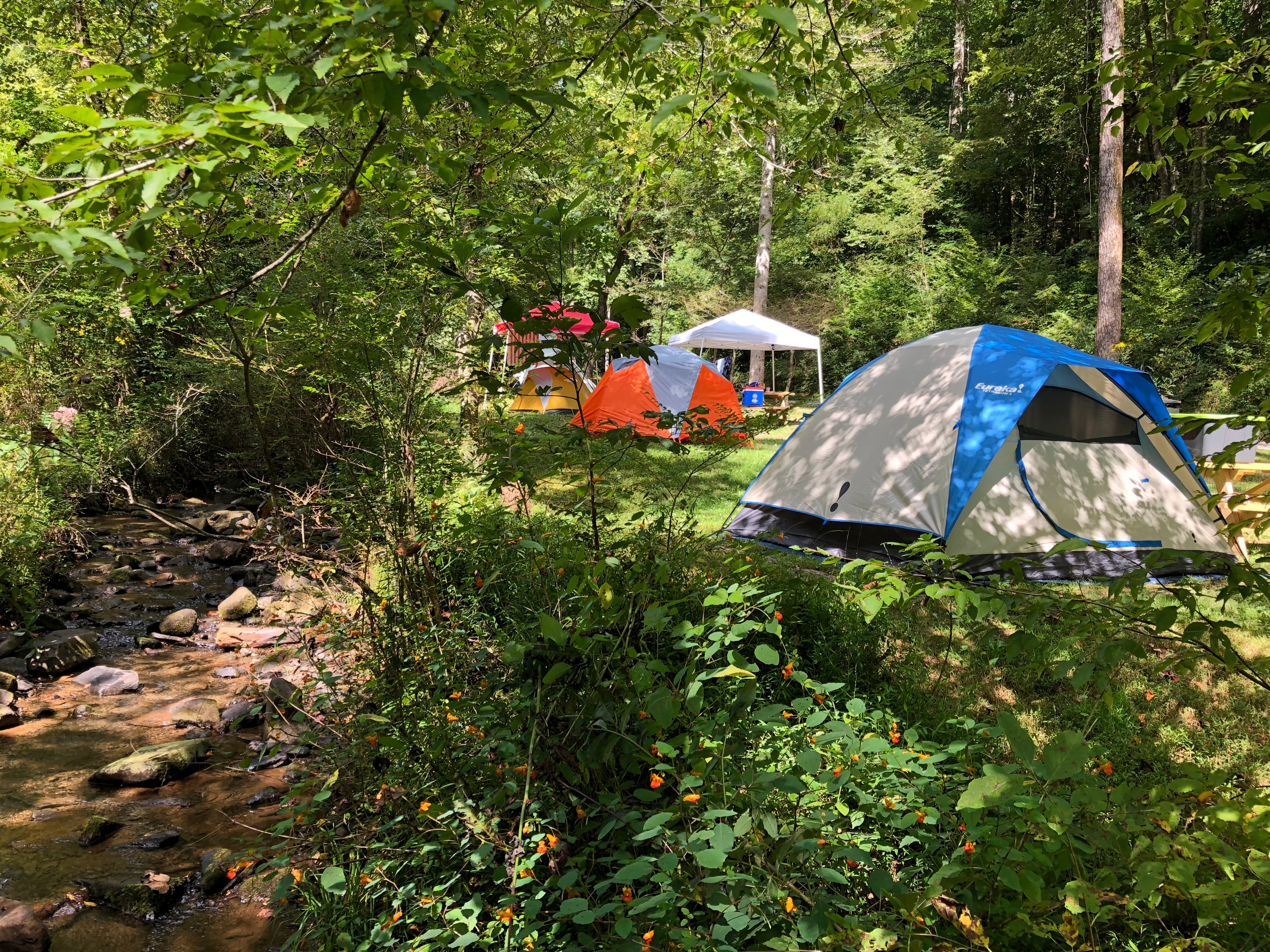 Camper submitted image from Turkey Creek Campground - 4