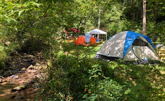 Jason L.'s photo at Turkey Creek Campground near Almond, NC