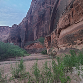 Review photo of Paria Canyon Wilderness - The Hole Backcountry Campsite by Amy G., September 24, 2022