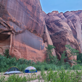 Review photo of Paria Canyon Wilderness - The Hole Backcountry Campsite by Amy G., September 24, 2022