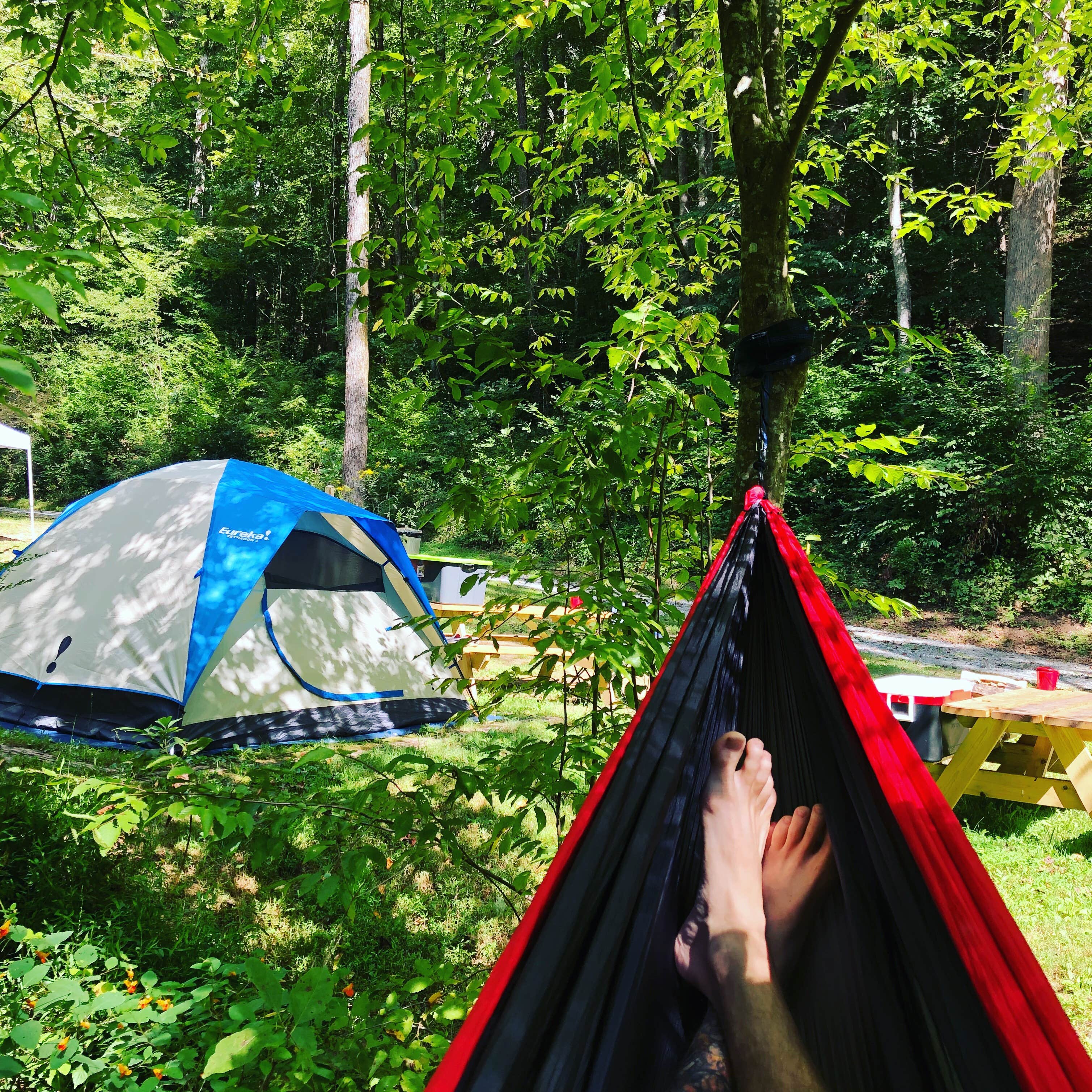 Turkey Creek Campground The Dyrt