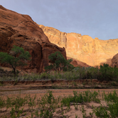 Review photo of Paria Canyon Wilderness - The Hole Backcountry Campsite by Amy G., September 24, 2022