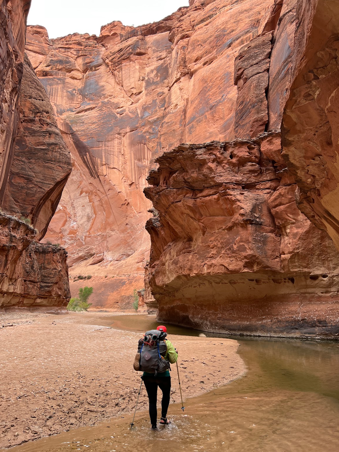 Camper submitted image from Paria Canyon Wilderness - The Hole Backcountry Campsite - 5