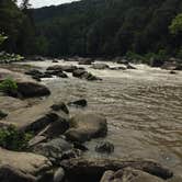 Review photo of Kentuck Campground — Ohiopyle State Park by Bob W., September 3, 2018