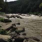 Review photo of Kentuck Campground — Ohiopyle State Park by Bob W., September 3, 2018