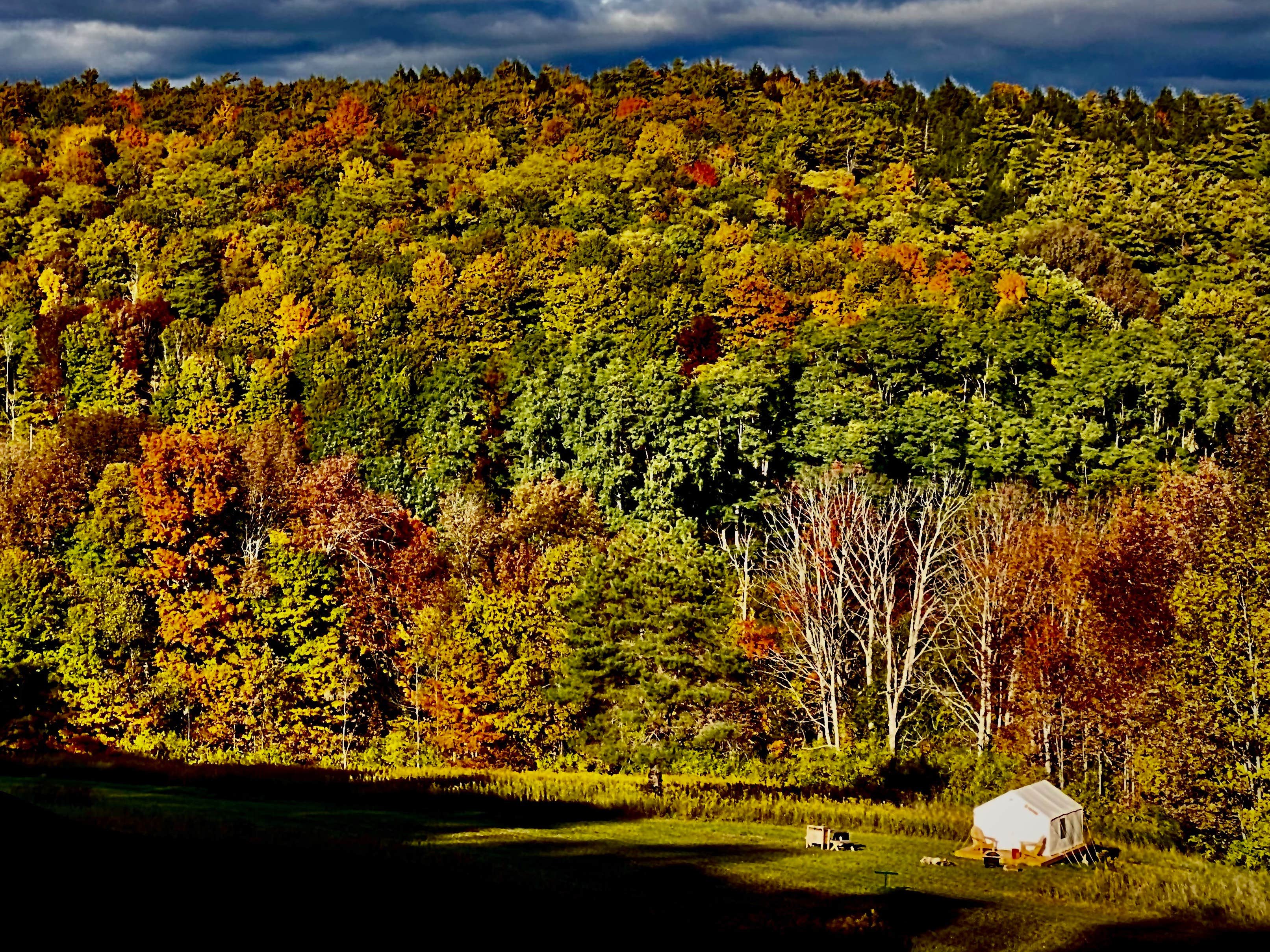 The Dyrt's photo at Tentrr Signature Site - Fenimore Slope near Cherry Valley, NY