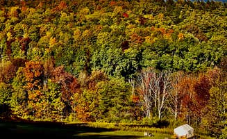 The Dyrt's photo at Tentrr Signature Site - Fenimore Slope near Jordanville, NY