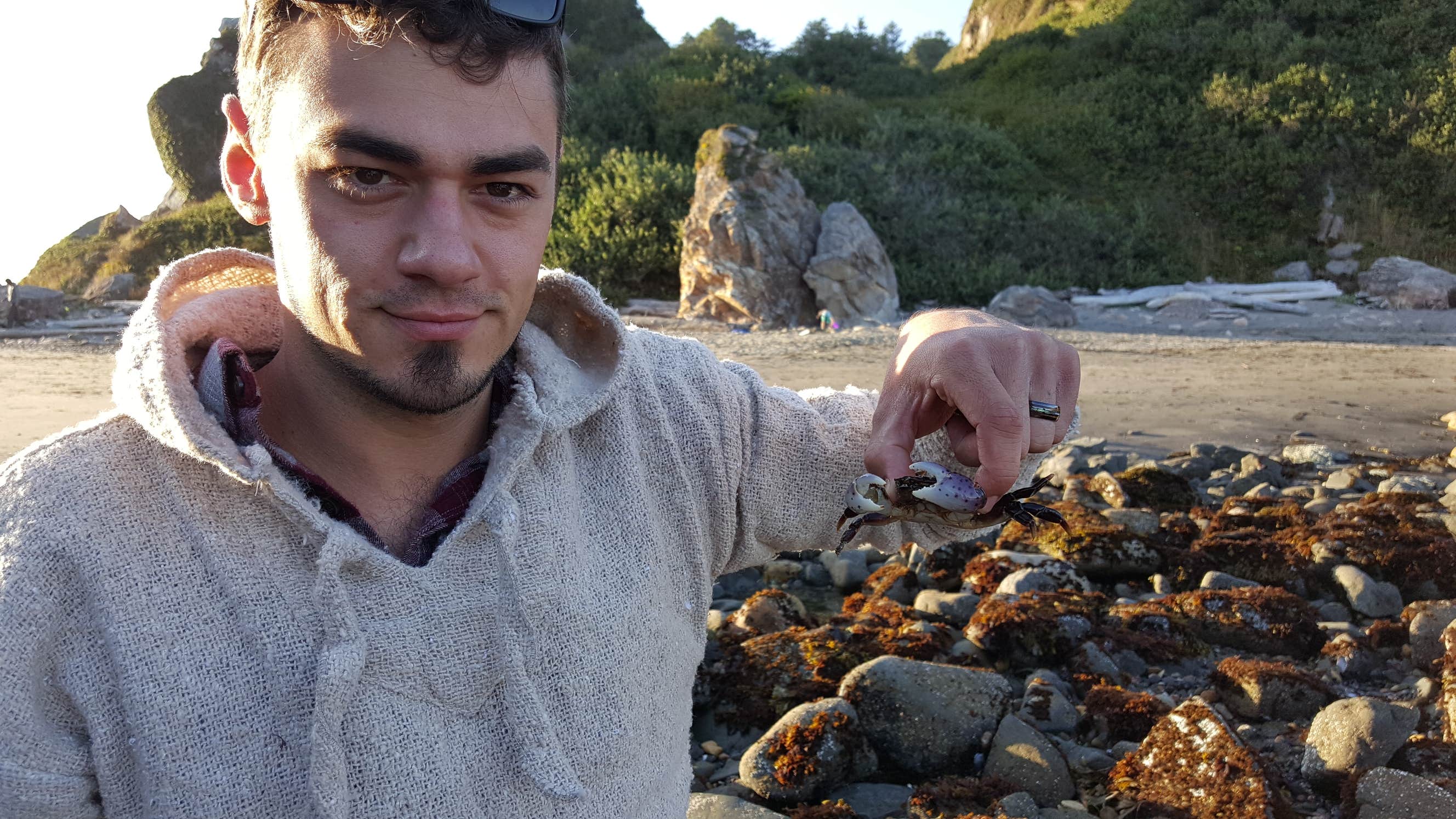 Harris Beach State Park Campground