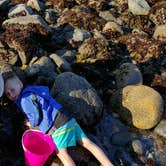Review photo of Harris Beach State Park Campground by shannon W., September 3, 2018