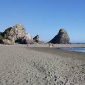 Review photo of Harris Beach State Park Campground by shannon W., September 3, 2018