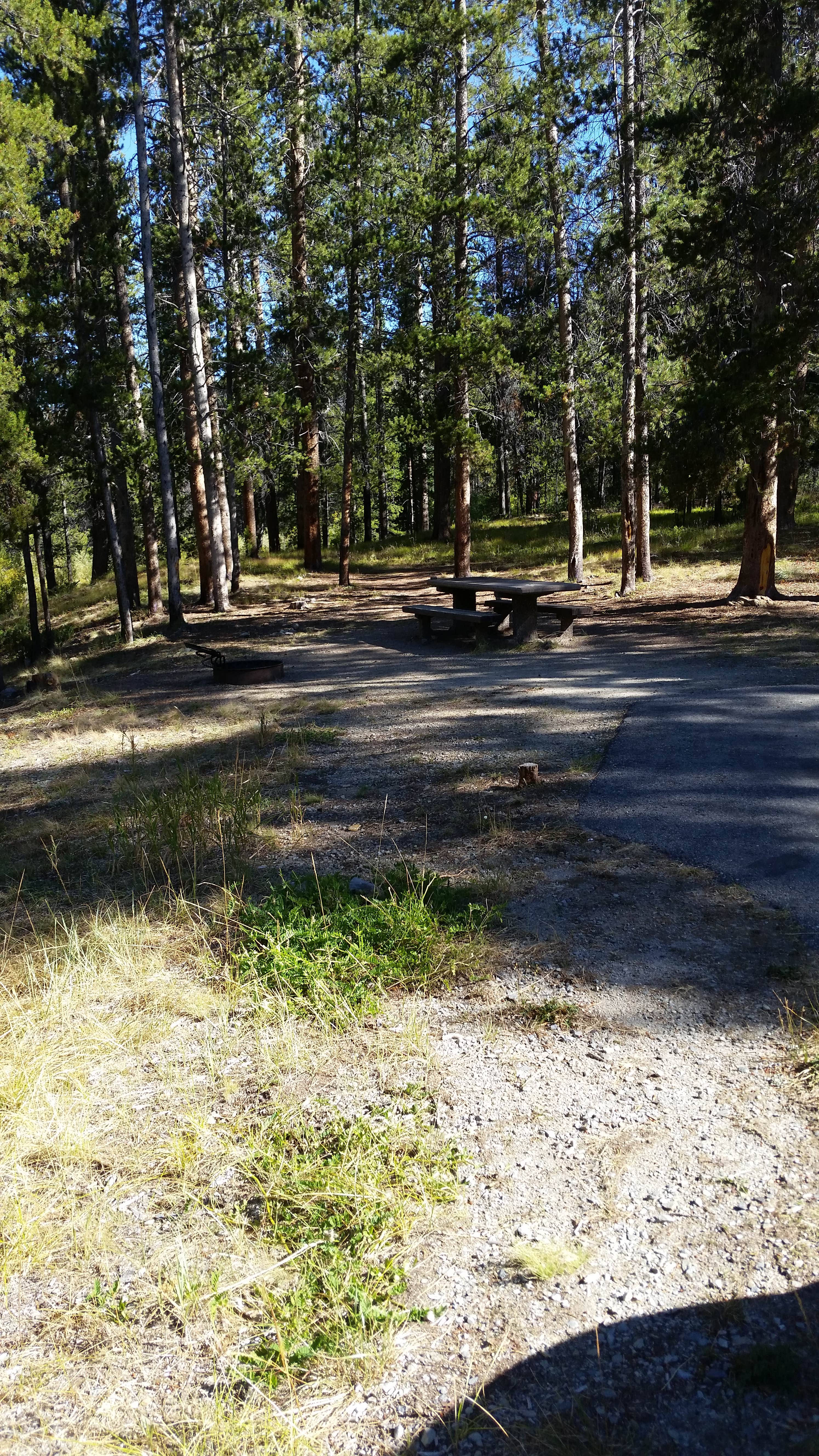 Camper-submitted photo at Little Joe near Wisdom, MT