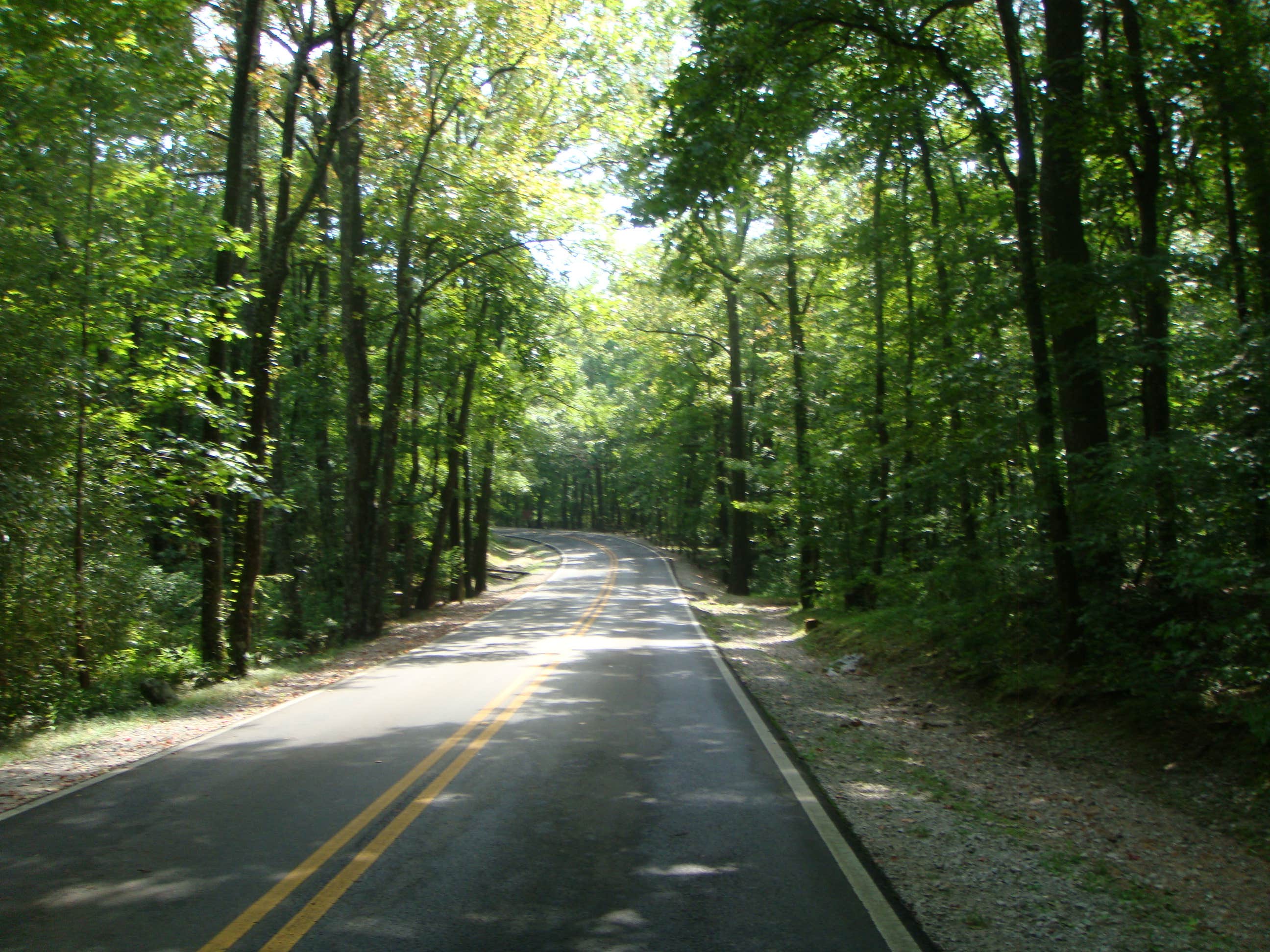 Camper submitted image from Monte Sano State Park Campground - 3
