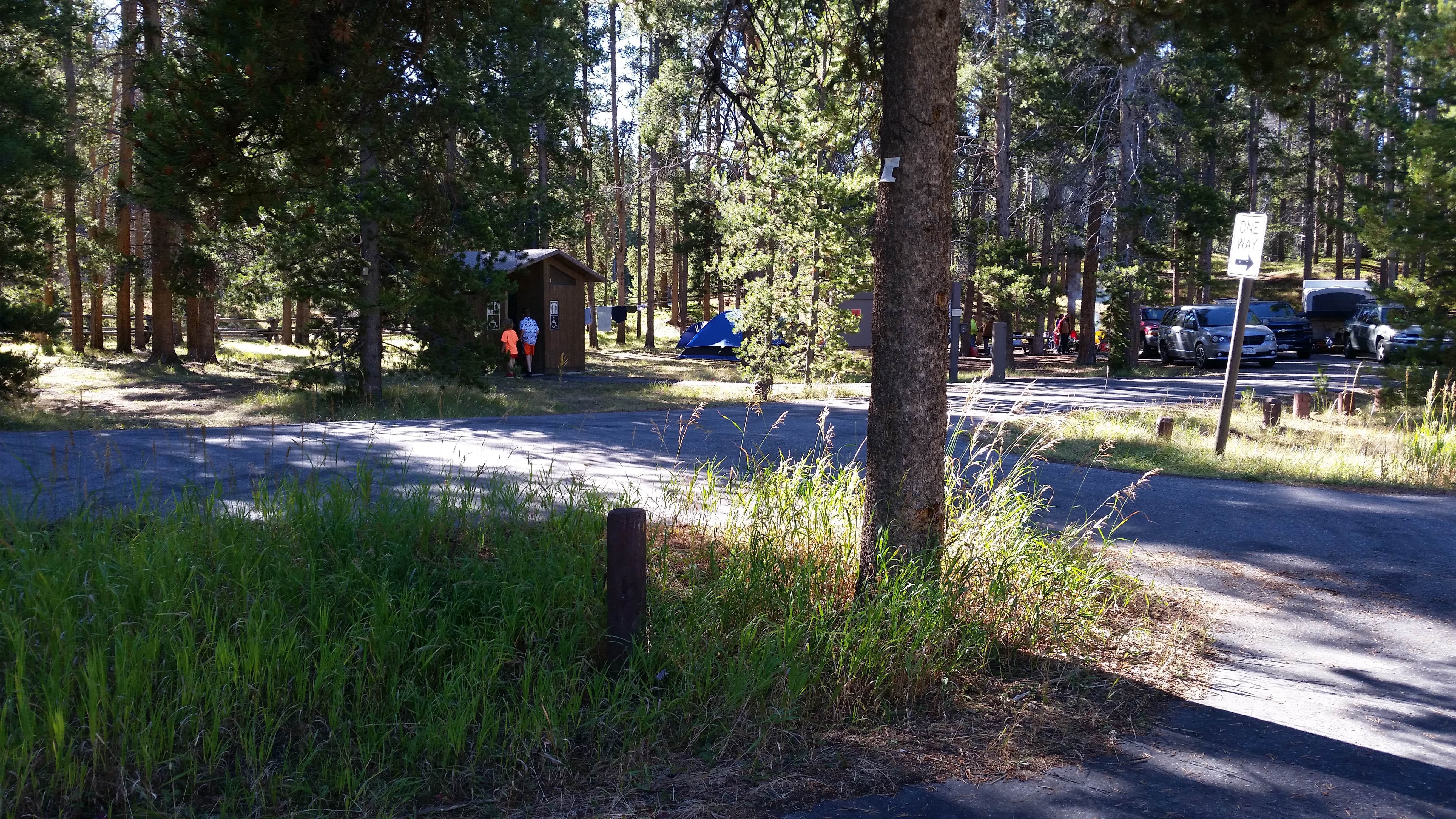 Camper-submitted photo at Little Joe near Wisdom, MT