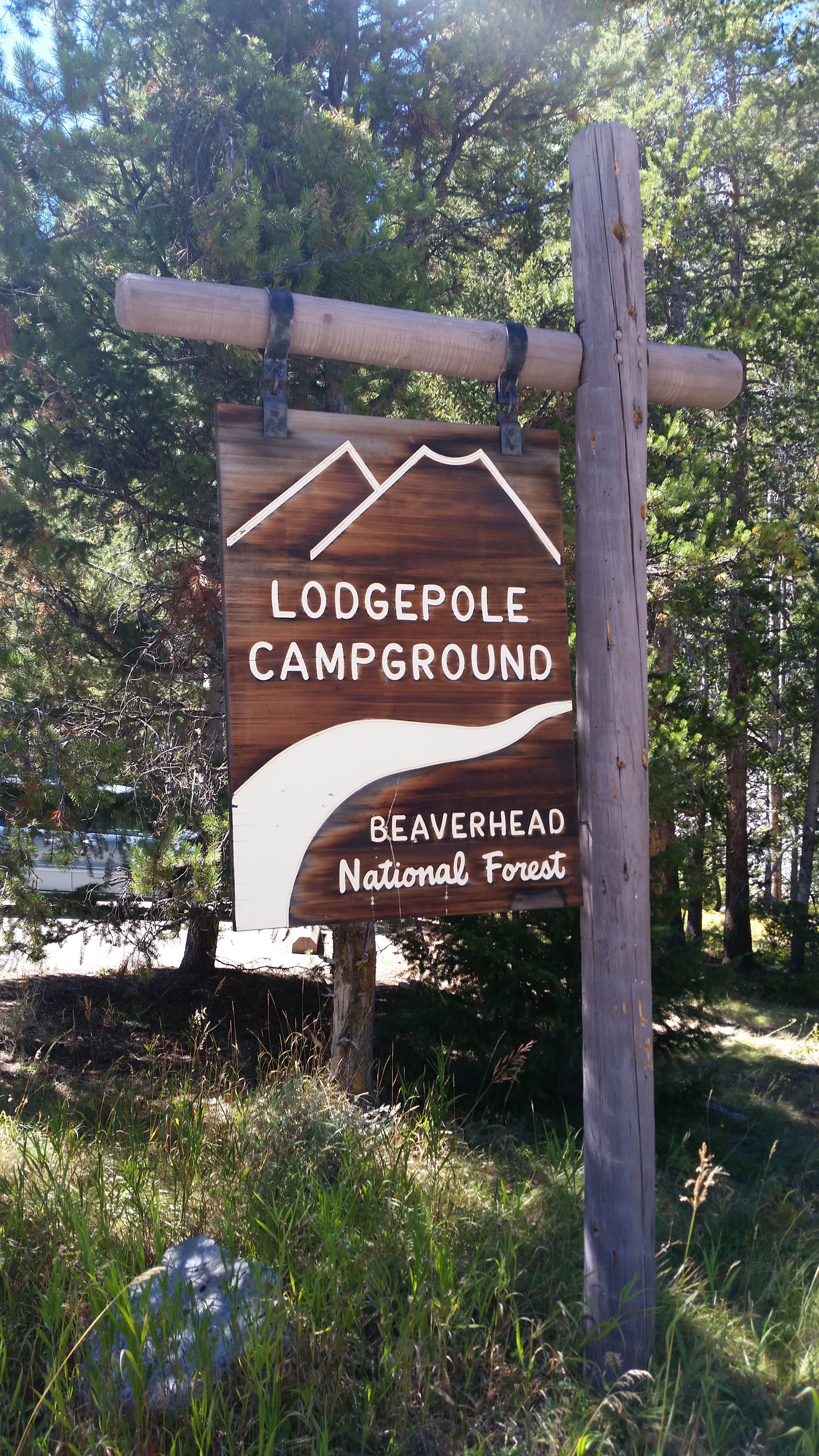 Lodgepole Campground The Dyrt