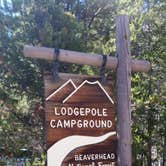 Review photo of Lodgepole Campground by Dexter I., September 3, 2018