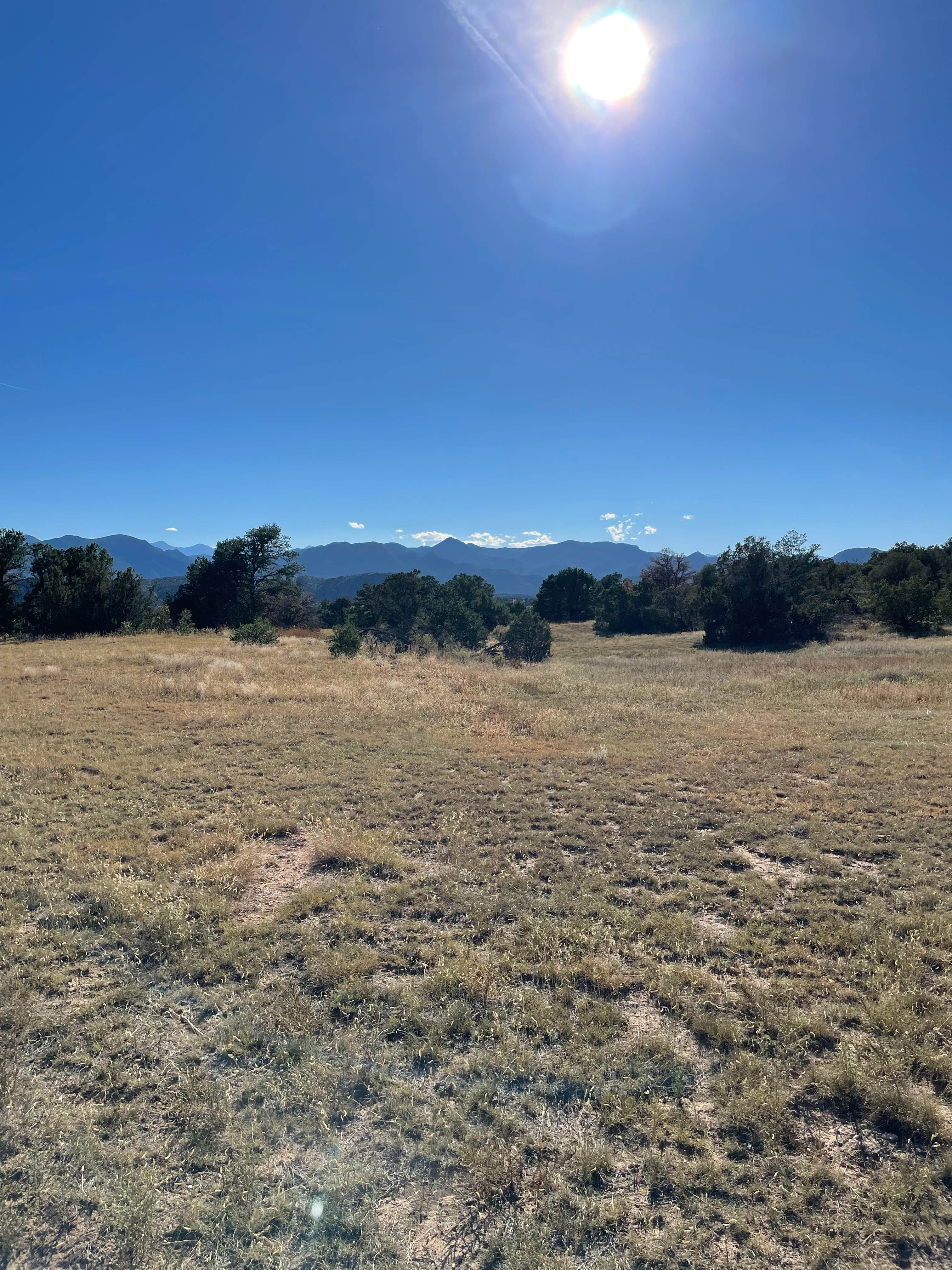 Camper-submitted photo at Royal Gorge-Canon City KOA near Hillside, CO