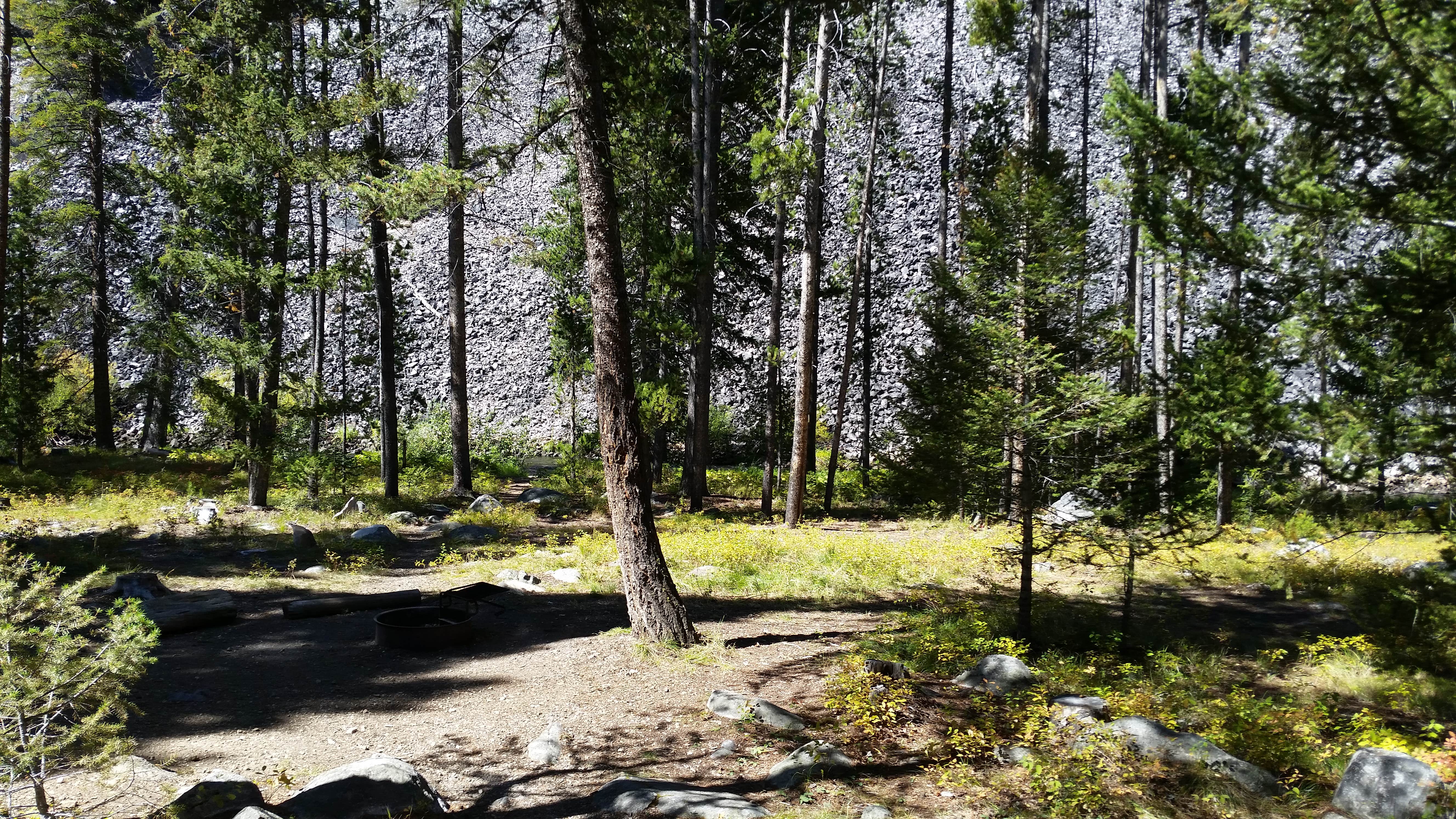 Lodgepole Campground The Dyrt